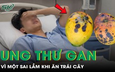Hệ Lụy Của Việc Tiêu Thụ Quá Nhiều Sữa Đậu Nành: Một Bài Học Đắt Giá